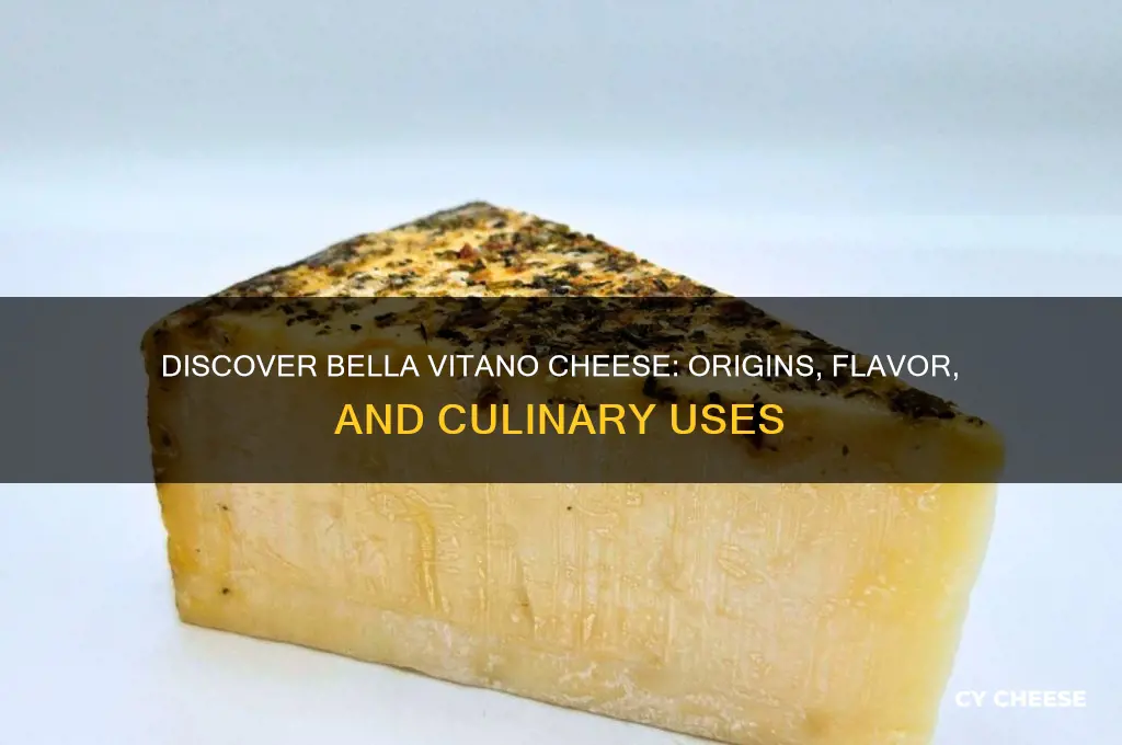 what is bella vatano cheese
