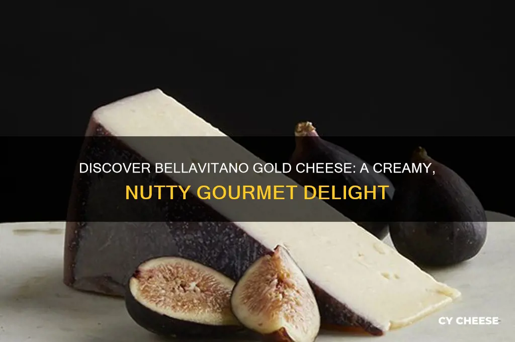 what is bellavitano gold cheese