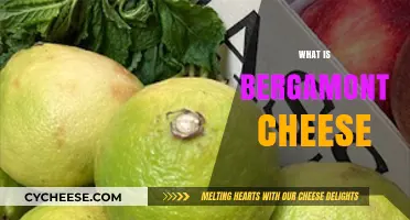 Discover the Unique Flavor and Origin of Bergamont Cheese