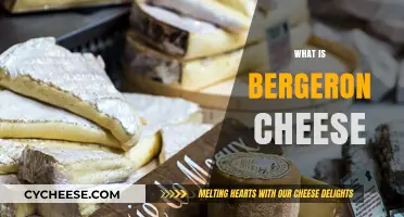 Discover Bergeron Cheese: A French Culinary Treasure and Its Unique Charm