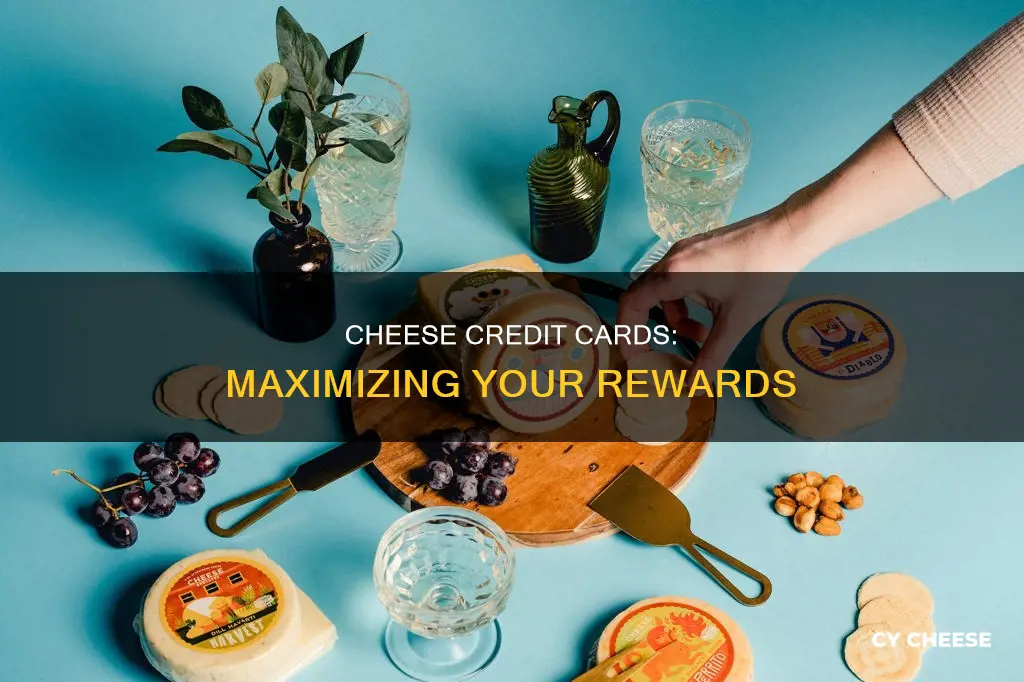 what is best cheese credit card