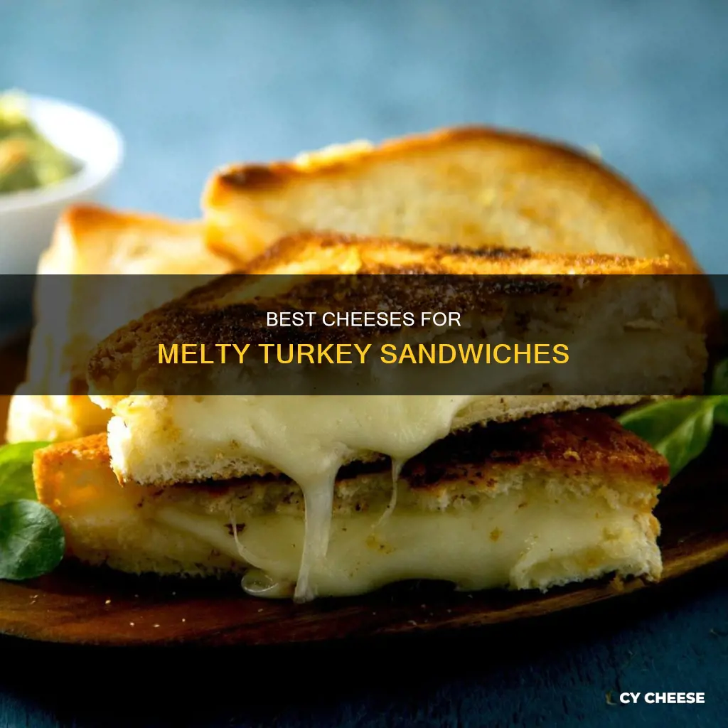 what is best cheese to melt on a turkey sandwhich