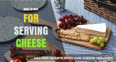 Cheese Serving Essentials: What You Need to Know