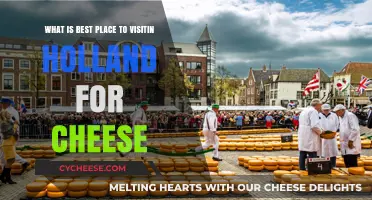 Exploring Dutch Cheese: Best Places in Holland