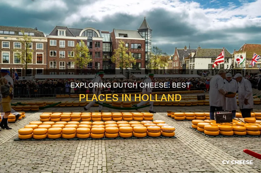 what is best place to visitin holland for cheese