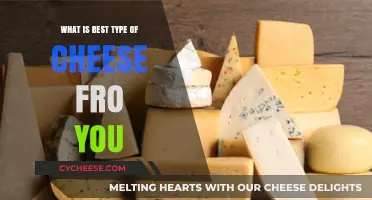 Cheese Types: Know Your Perfect Match
