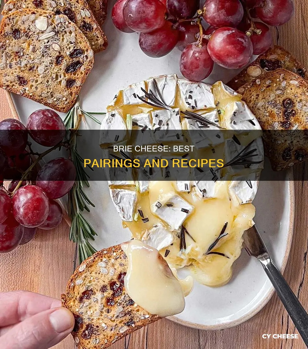 what is best with brie cheese