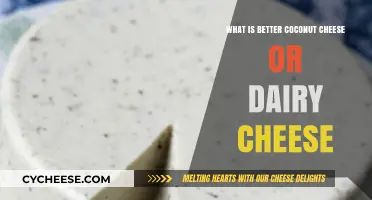 Coconut Cheese vs. Dairy Cheese: Which is the Better Choice?