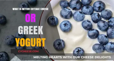 Cottage Cheese vs. Greek Yogurt: Which Healthy Dairy Wins?