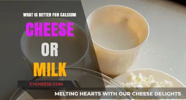 Cheese vs. Milk: Which Calcium Source Boosts Your Health More?