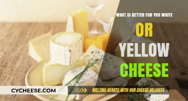 White vs. Yellow Cheese: Which is Healthier for Your Diet?