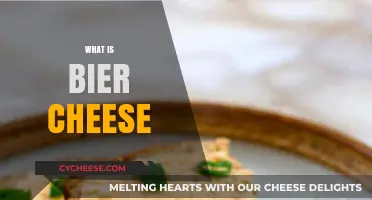 Discover the Rich, Savory World of Traditional Bier Cheese