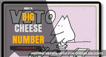 Unveiling the Mystery: Understanding the Big Cheese Number Concept