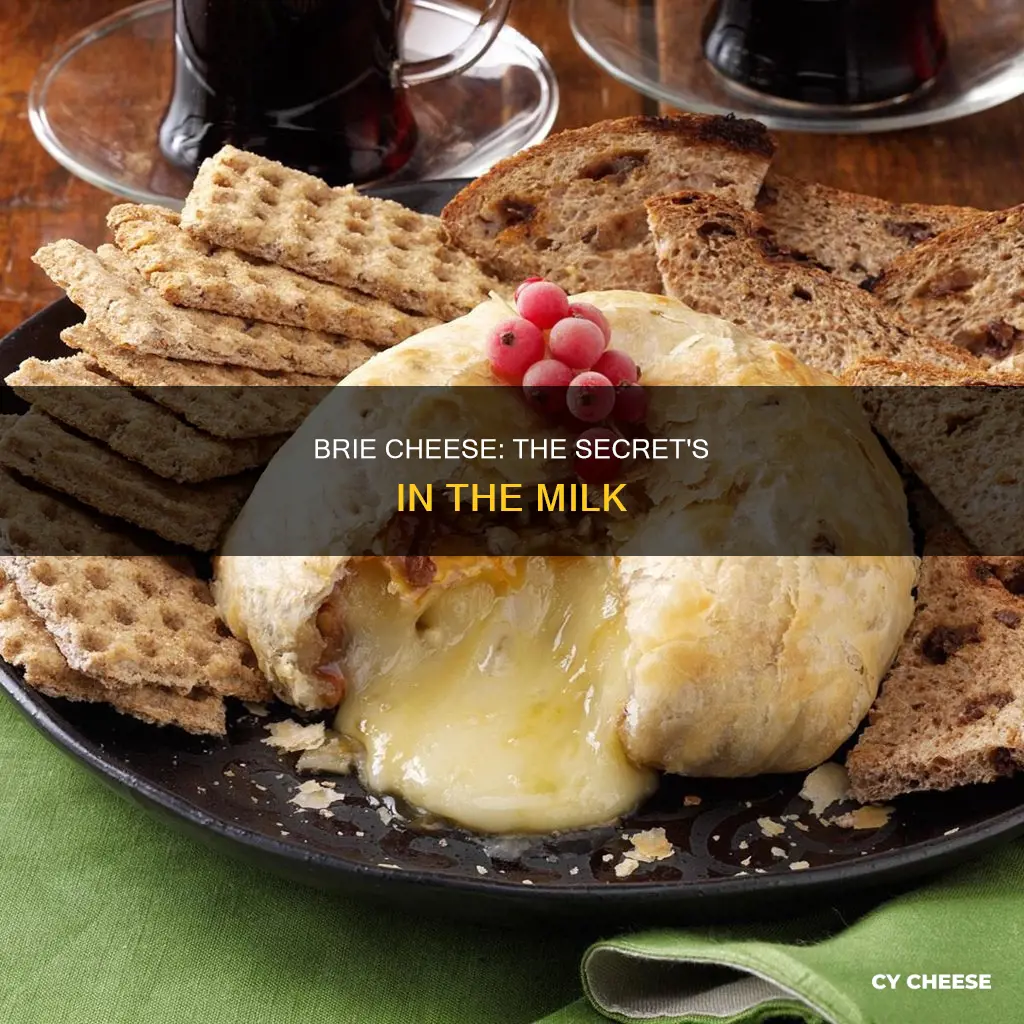 what is bire cheese made from