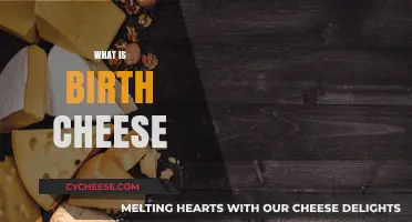 Exploring Birth Cheese: Origins, Uses, and Cultural Significance Unveiled