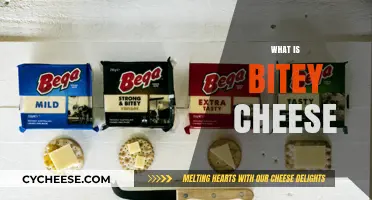 Exploring Bitey Cheese: Origins, Flavors, and Unique Characteristics