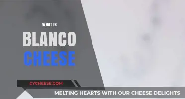 Discover Blanco Cheese: Origins, Uses, and Culinary Magic Explained