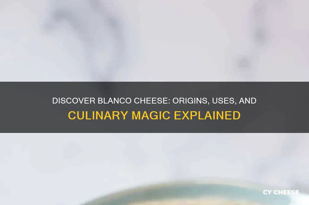 what is blanco cheese