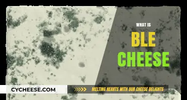 Understanding Blue Cheese: Origins, Flavor, Uses, and Health Benefits