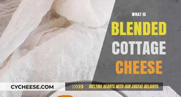 Discover Blended Cottage Cheese: Creamy Texture, Versatile Uses, and Benefits