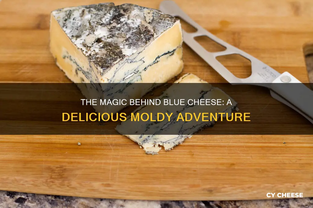 what is bleu cheese mad from
