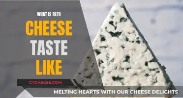 A Blue Cheese Adventure: Exploring the Bold, Savory Taste