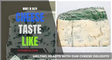 Unveiling Bleu Cheese's Unique Taste: A Pungent Adventure
