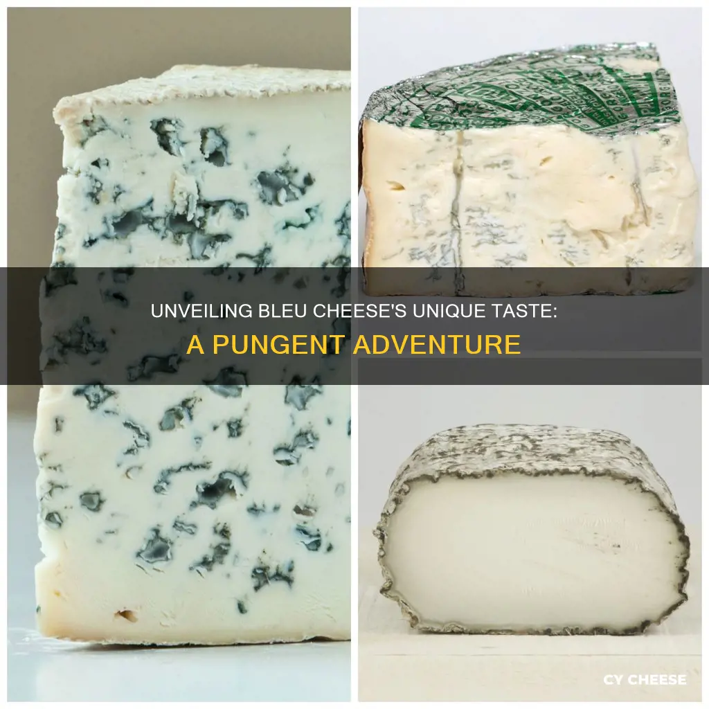 what is bleu cheese taste like