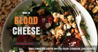 Unveiling Blood Cheese: Origins, Flavor, and Culinary Uses Explained