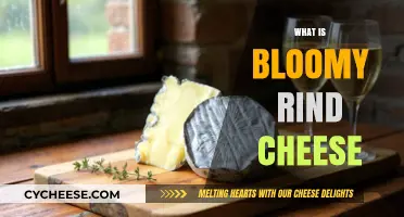 Exploring Bloomy Rind Cheese: Its Unique Flavor and Production Process