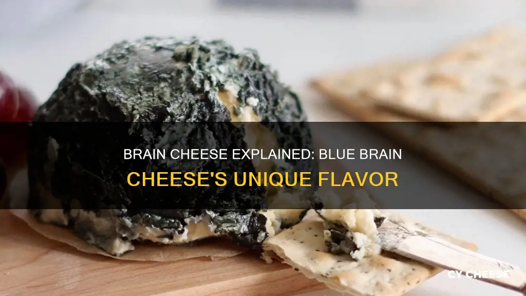 what is blue brain cheese