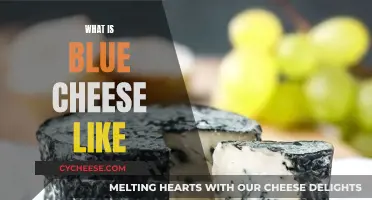 Blue Cheese: A Unique Taste Experience