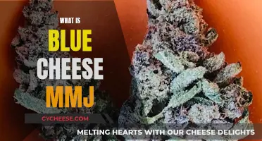 Blue Cheese MMJ: A Unique Strain's Secrets
