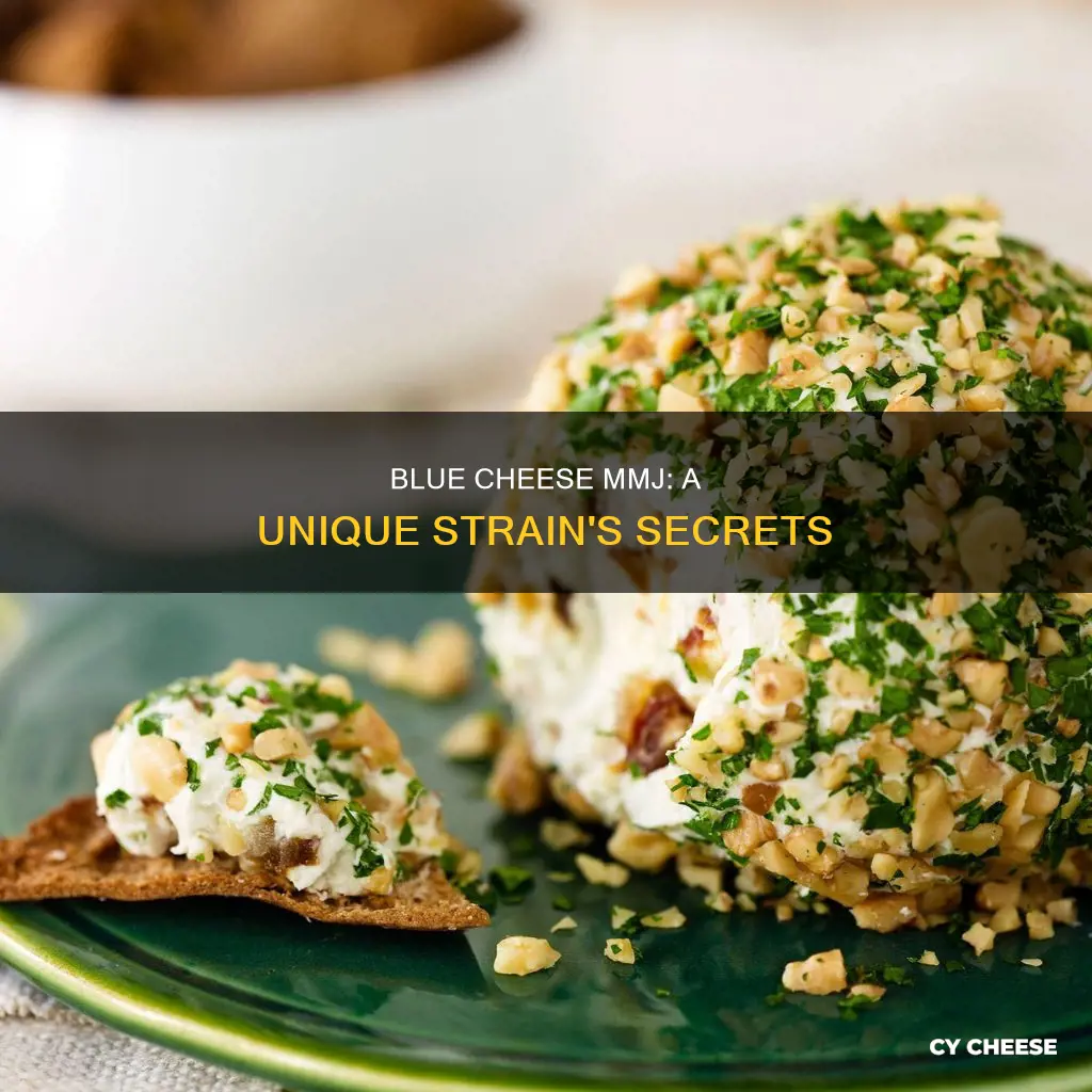 what is blue cheese mmj