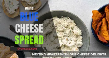 Blue Cheese Spread: A Delicious, Creamy Condiment Explained