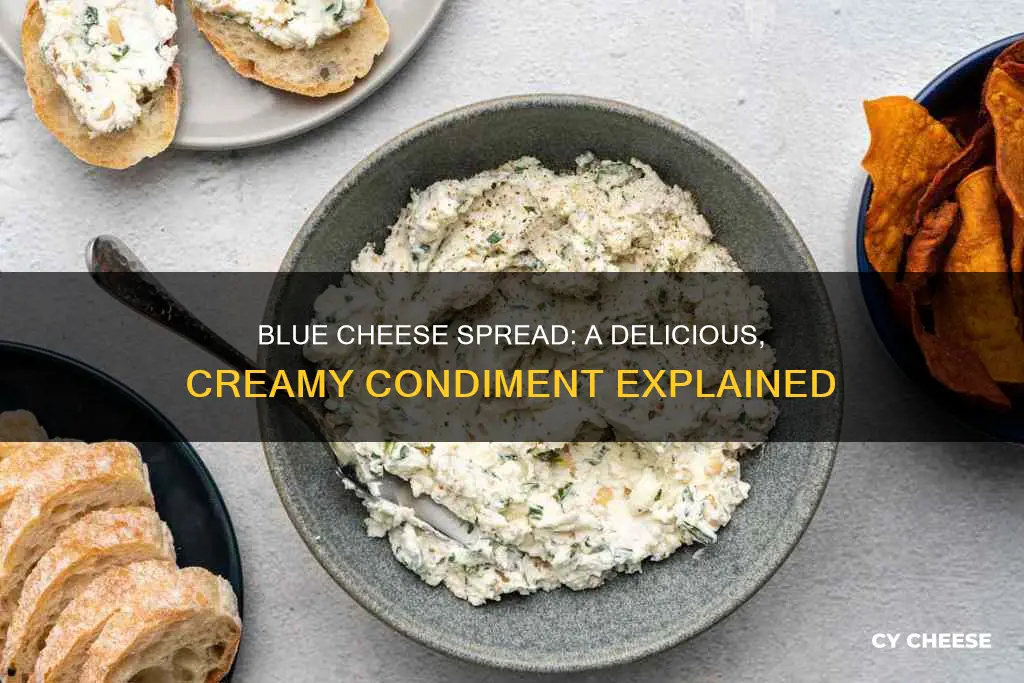 what is blue cheese spread