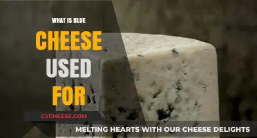 Blue Cheese Delights: Uses and Applications