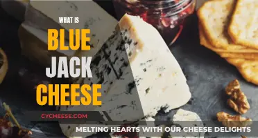 Blue Jack Cheese: A Unique Dairy Delight