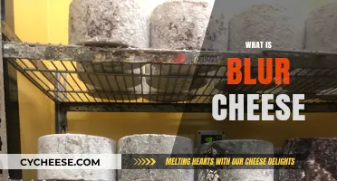 Understanding Blur Cheese: Origins, Uses, and Unique Flavor Profile