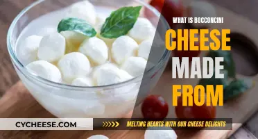 Bocconcini Cheese: Crafting Delicate Mozzarella Balls