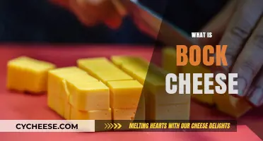 Discover the Rich Flavor and History of Bock Cheese