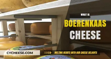 Discover the Rich Flavor and History of Boerenkaas Cheese
