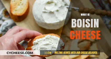 Discovering Boisin Cheese: Origins, Flavor, and Culinary Uses Explained