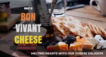 Discover the Rich Flavors of Bon Vivant Cheese: A Guide