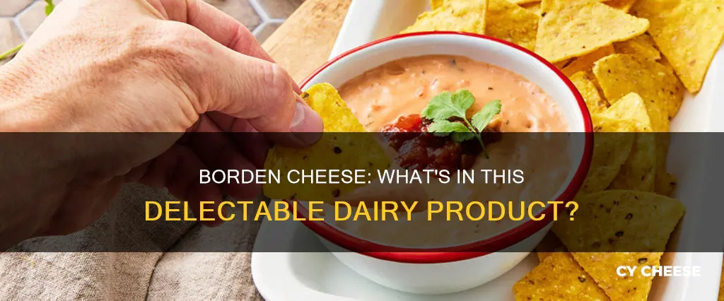 what is borden cheese made of