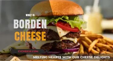 Discover Borden Cheese: History, Varieties, and Culinary Uses Explained