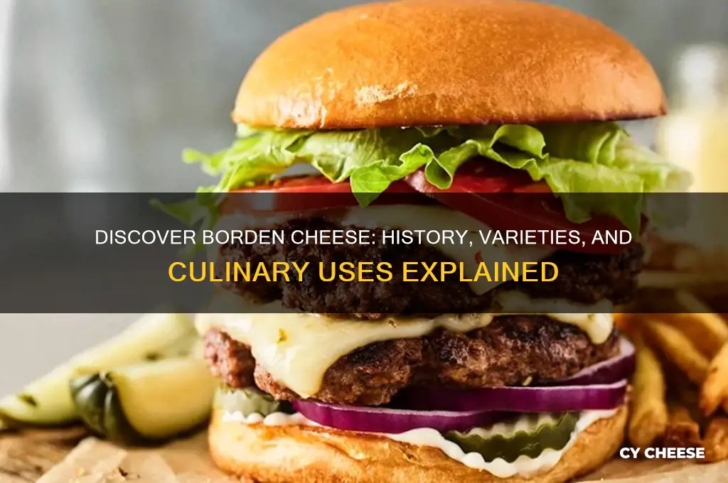 what is borden cheese