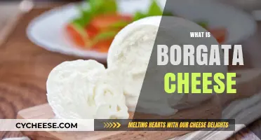 Discover Borgata Cheese: Origins, Flavor Profile, and Culinary Uses