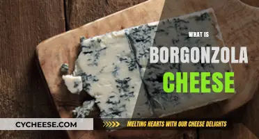 Discovering Borgonzola Cheese: Origins, Flavor, and Culinary Uses Explained