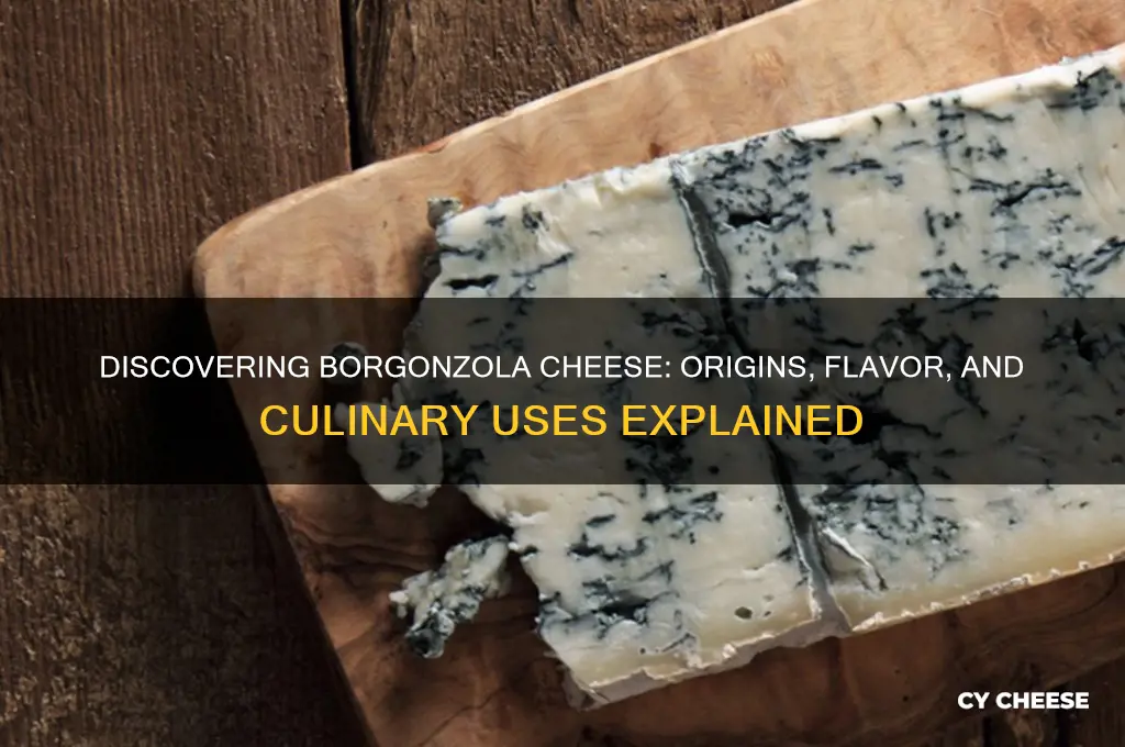 what is borgonzola cheese